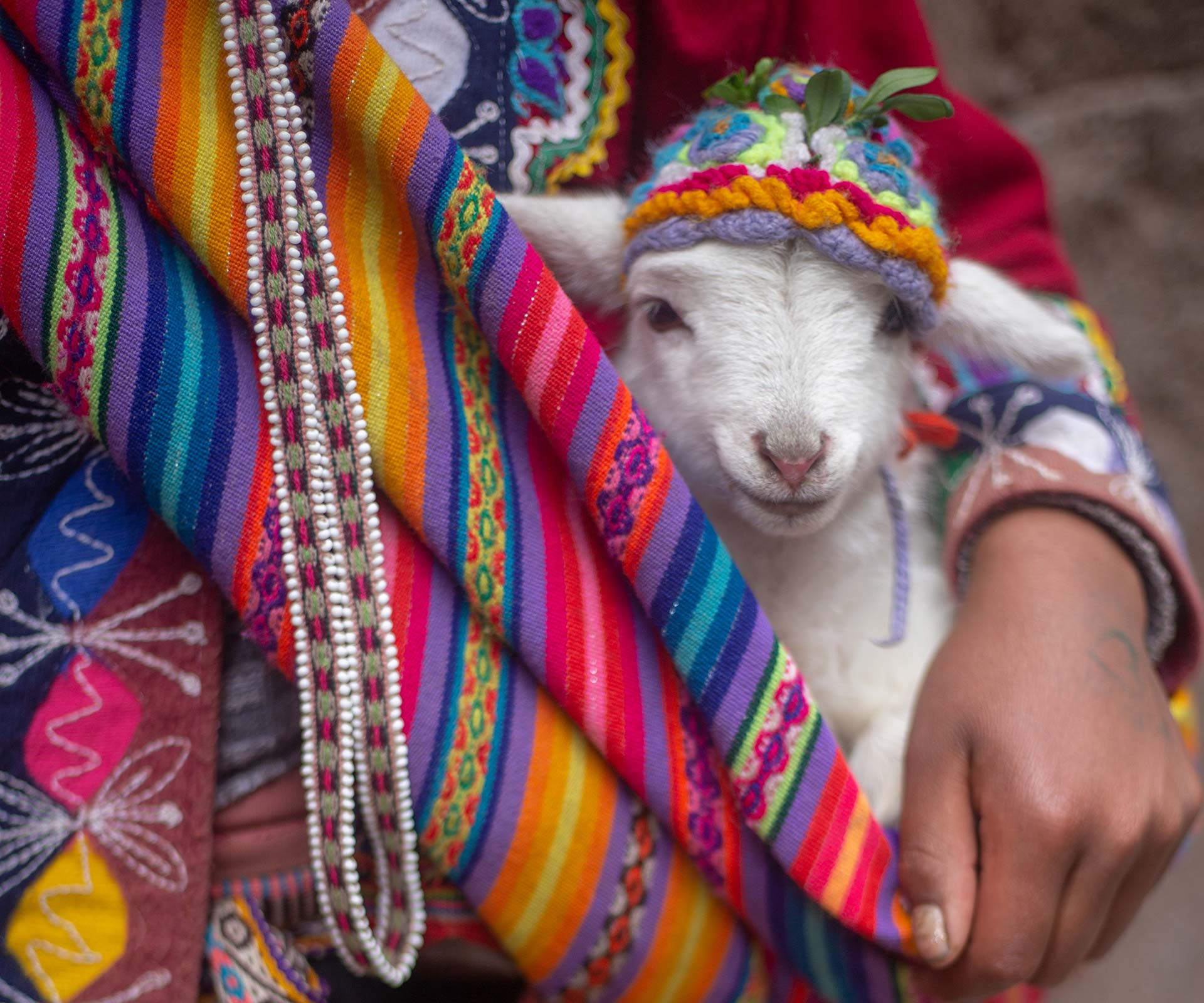 portfolio image36 Handbags